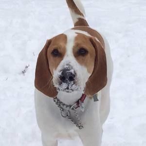 Meet your Posher, Ann